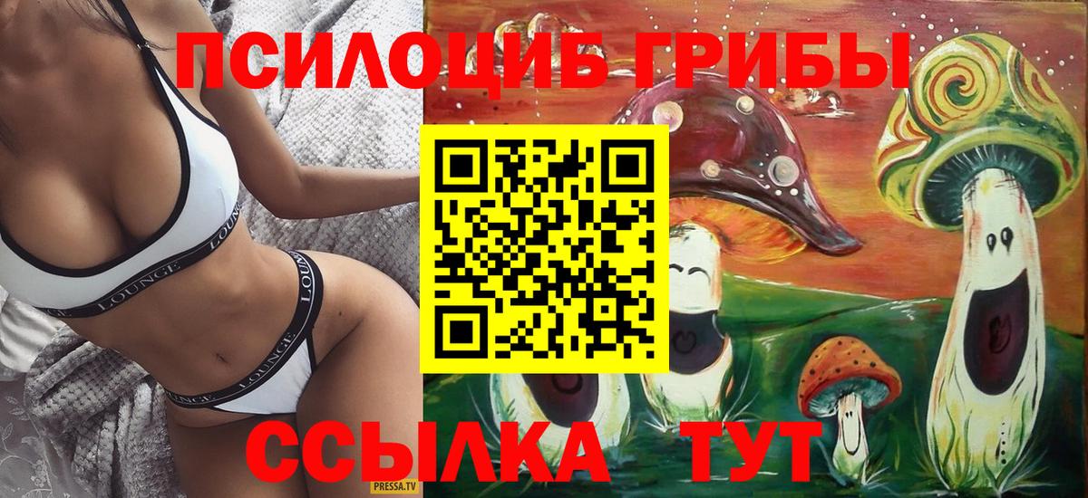 Галлюциногенные грибы Psilocybine cubensis Нижний Новгород