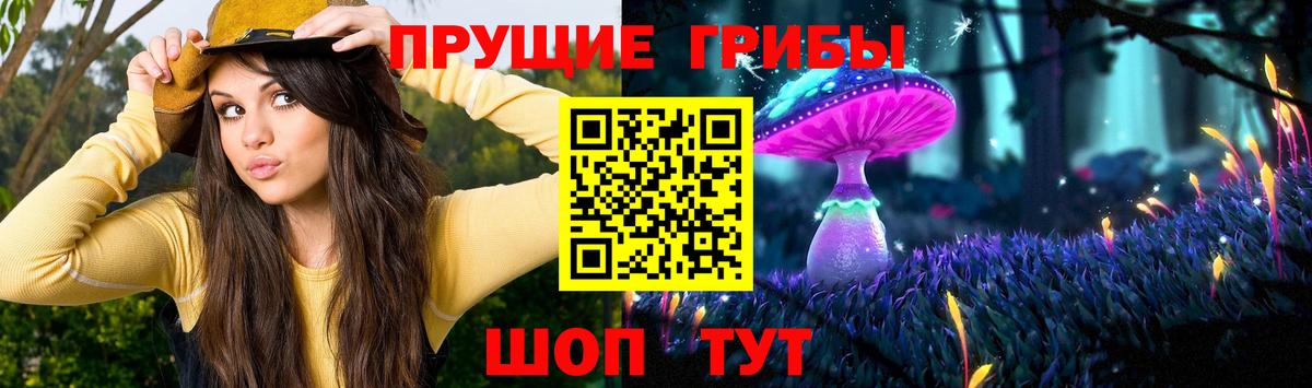 Нижний Новгород  Галлюциногенные грибы прущие грибы  Галлюциногенные грибы MAGIC MUSHROOMS  Вход с VPN 